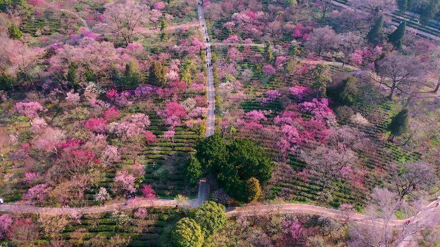 澳版苹果手机刷国行系统:【郡县热点】云南农民工就业规模首次突破千万大关；贵州金沙小香葱撑起群众“钱袋子”；延安发展智慧气象服务现代农业-第2张图片-太平洋在线下载