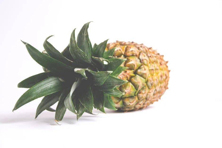 icey手机版苹果下载:pineapple-菠萝，apple-苹果，那pine=？