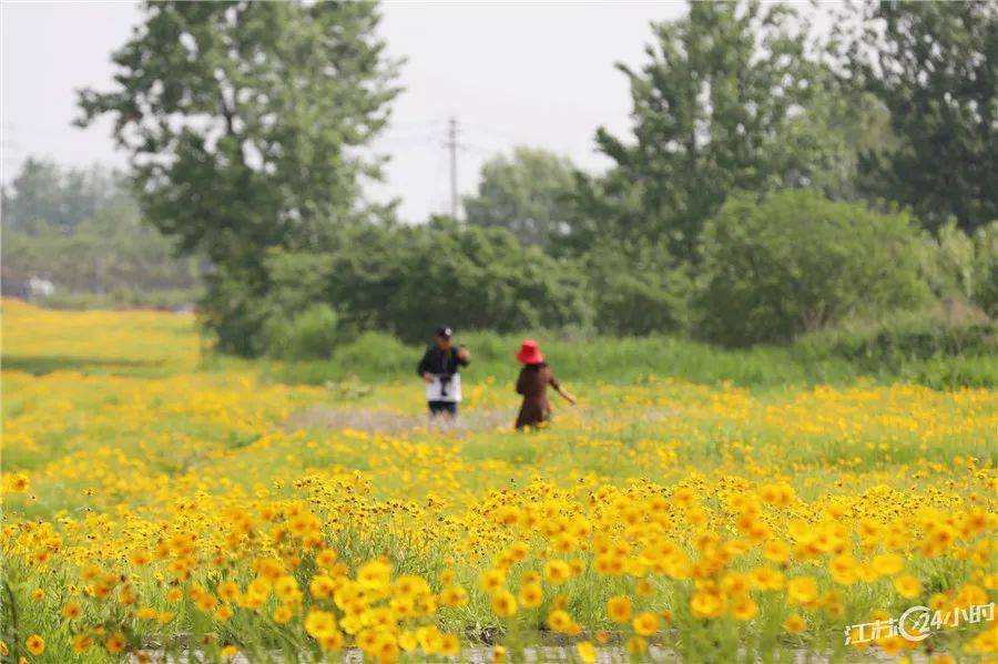 中国驾驶模拟苹果版:江苏24小时·滚动推送|淮安：高铁站扩建施工稳步推进 6月底验收交付-第29张图片-太平洋在线下载