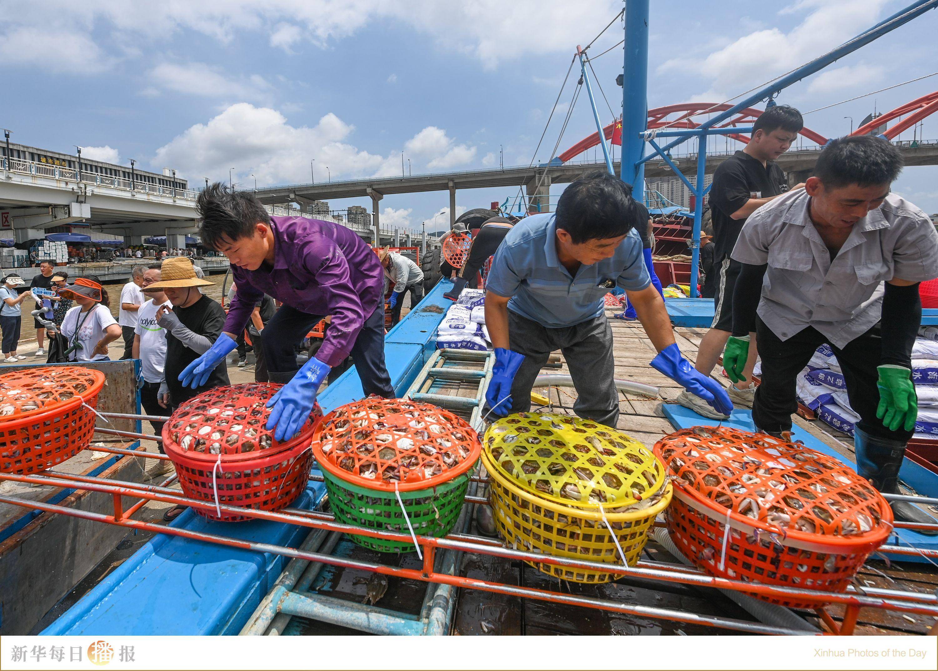 新华每日播报｜8月7日-第4张图片-太平洋在线下载