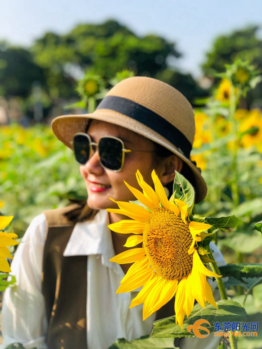 东莞阳光网手机版下载(东莞阳光网发布的信息真实吗?)