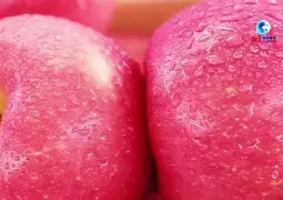 MlPC苹果版(mipc苹果下载)-第5张图片-QuickQ官网 MlPC苹果版(mipc苹果下载)-第5张图片-QuickQ官网